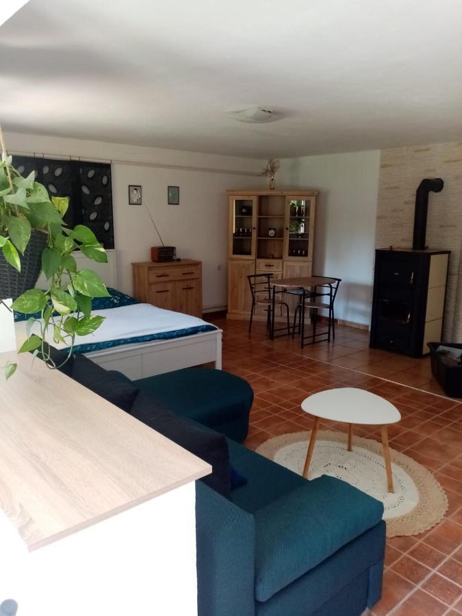 Apartament Apartman Ivana Rumburk Zewnętrze zdjęcie